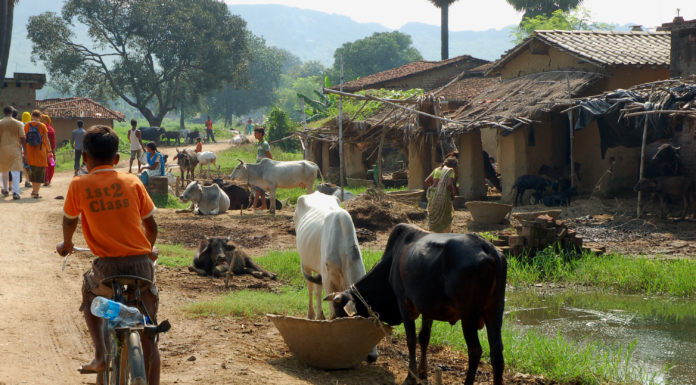 घर गीरहस्ती से त ,हमु जूझऽ तानी