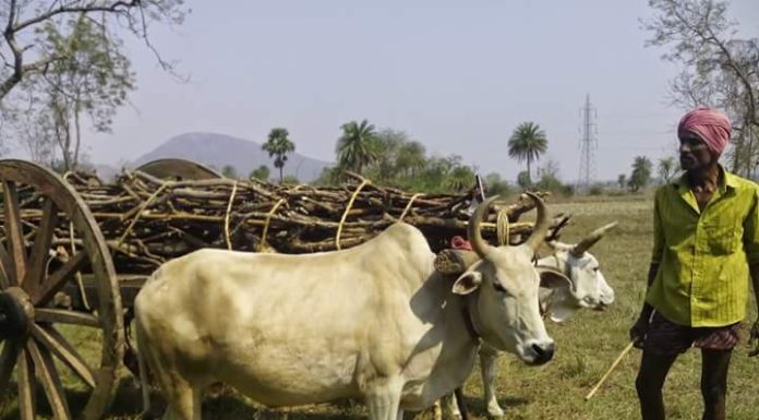 ताल – गाल